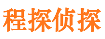 龙州侦探公司